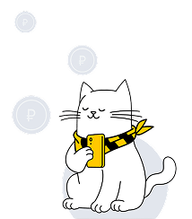 action-cat